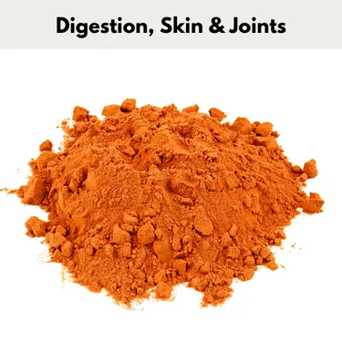 Turmeric| Online For Equine