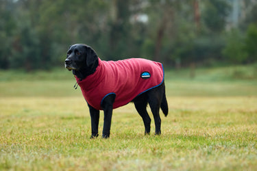 Buy Weatherbeeta Comfitec Fleece Zip Dog Coat Navy/Burgundy | Online for Equine