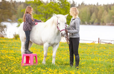 V-Plast Step Stool| Online For Equine