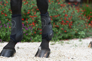Veredus Absolute Black Elastic Front Dressage Boots| Online For Equine