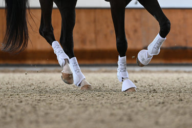 Veredus Absolute White Elastic Front Dressage Boots| Online For Equine