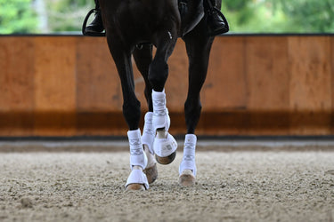 Veredus Absolute White Elastic Front Dressage Boots| Online For Equine