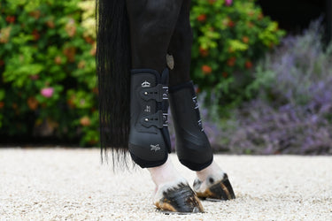 Veredus Black Absolute Rear Fetlock Elastic| Online For Equine
