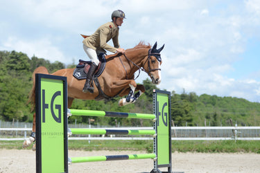 Veredus Black Saddlecloth Jumping Stability S1| Online For Equine