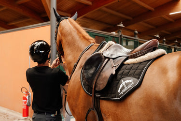 Veredus Black Saddlecloth Jumping Stability S1| Online For Equine