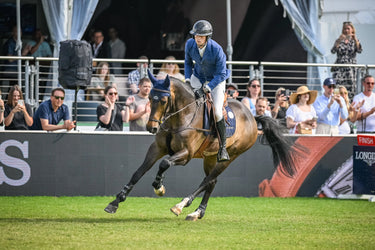 Veredus Blue Fly Fringe Stability| Online For Equine