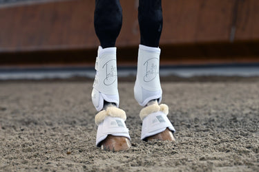 Veredus White Absolute Front Tendon Boots Velcro| Online For Equine