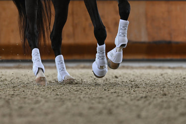 Veredus White Absolute Velcro Rear Fetlock Boots| Online For Equine