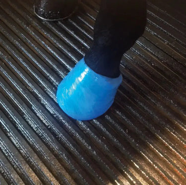 Vetcling| Online For Equine