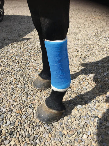Vetcling| Online For Equine