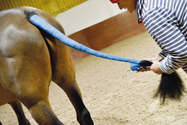 Vetcling| Online For Equine