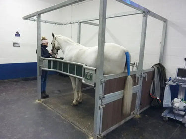 Vetcling| Online For Equine