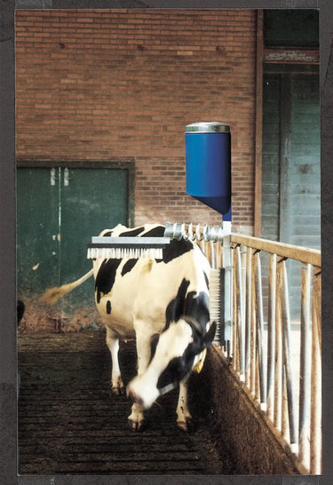 Vink Cattle Brush With Dispenser| Online For Equine