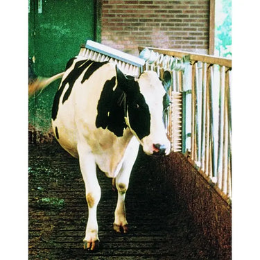 Vink Cattle Brush| Online For Equine