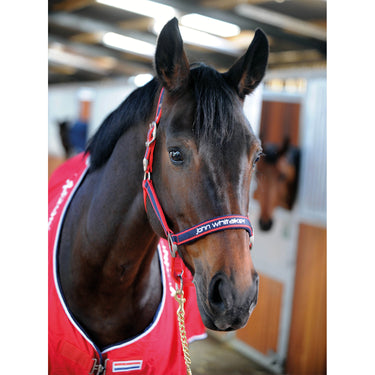 Buy Whitaker Padded Fleece Headcollar Red/Navy| Online for Equine