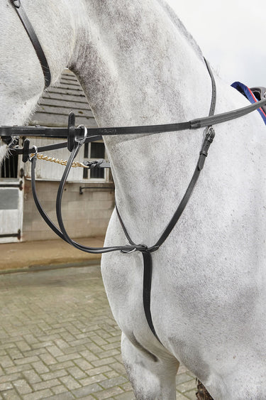 Buy Whitaker Lynton Running Martingale Black| Online for Equine