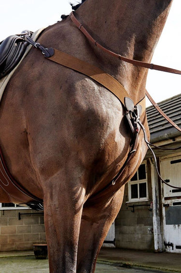 Whitaker Ready To Ride Breastplate Havana