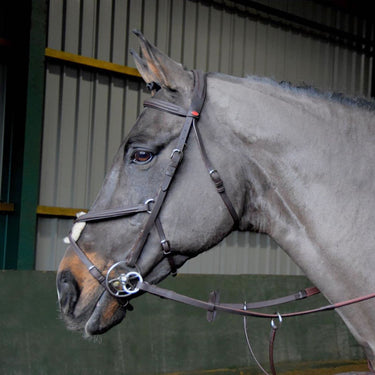 Buy Whitaker Ready To Ride Mexican Bridle| Online for Equine