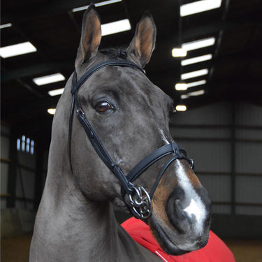 Buy Whitaker Ready To Ride Snaffle Bridle Black| Online for Equine