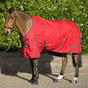 Buy Whitaker Rastrick Turnout Rug 100g Red| Online for Equine