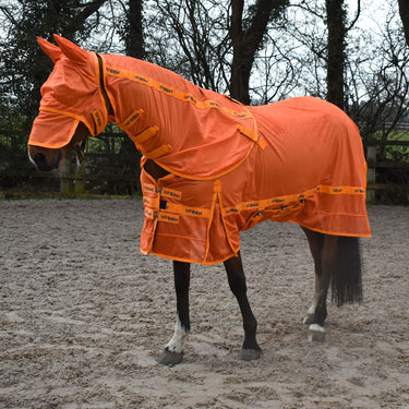 Buy Whitaker Swot Fly Rug & Mask Orange| Online for Equine