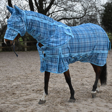 Buy Whitaker Swot Fly Rug & Mask Check| Online for Equine