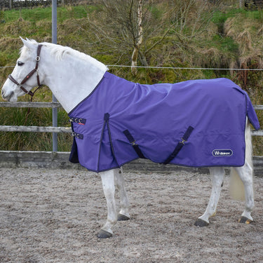 Buy Whitaker Rastrick Turnout Rug 0g Purple| Online for Equine