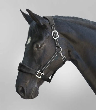 Waldhausen Alcantara Halter| Online For Equine