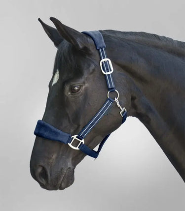 Waldhausen Alcantara Halter| Online For Equine