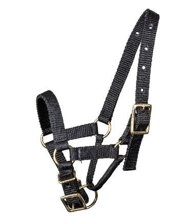 Buy Waldhausen Alpaca Halter | Online for Equine