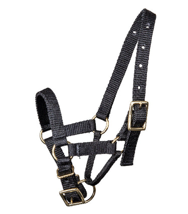 Buy Waldhausen Alpaca Halter | Online for Equine