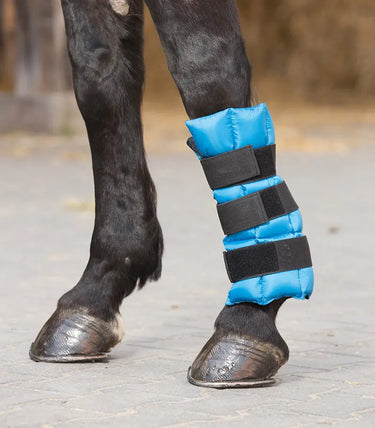 Buy Waldhausen Cooling Boot | Online for Equine