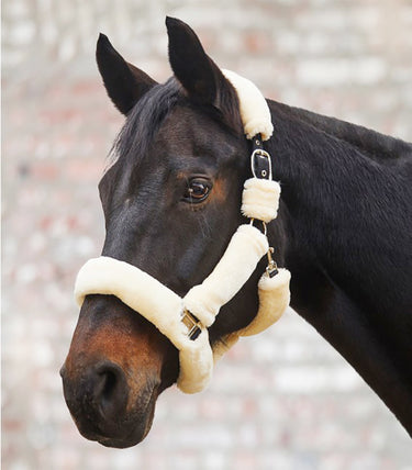 Buy Waldhausen Cozy Halter | Online for Equine