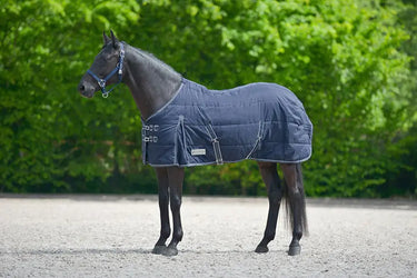 Buy Waldhausen Economic 200g Stable Rug | Online for Equine