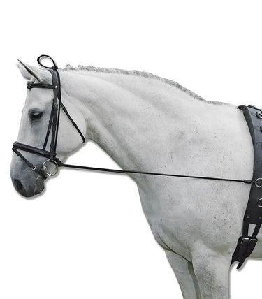 Buy Waldhausen Elastic Training Rein | Online for Equine