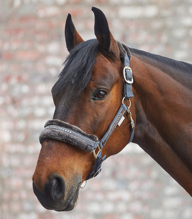 Buy Waldhausen Elegant halter | Online for Equine