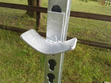Buy Waldhausen Galvanised Standard Pole Jump Cups | Online for Equine