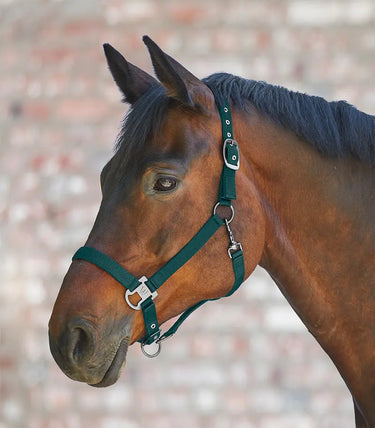 Waldhausen Gloomy Halter| Online For Equine