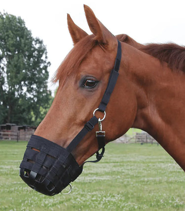 Buy Waldhausen Grazing Muzzle | Online for Equine