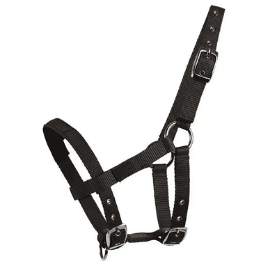 Buy Waldhausen Halter for mini shetties | Online for Equine