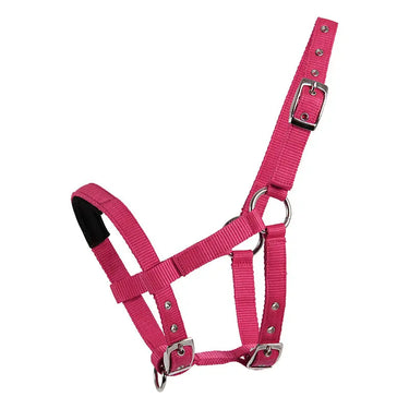 Buy Waldhausen Halter for mini shetties | Online for Equine