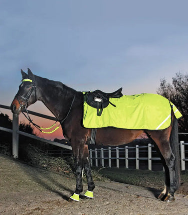 Buy Waldhausen Hi-Viz Exercise Sheet | Online for Equine