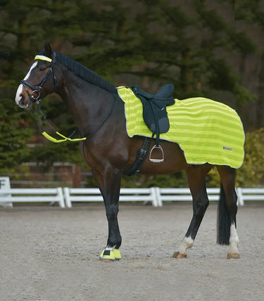 Buy Waldhausen Hi-Viz Summer Exercise Sheet | Online for Equine