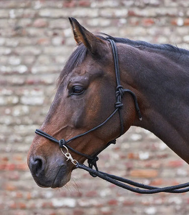 Buy Waldhausen Knotted Halter with Reins | Online for Equine