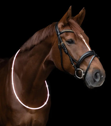 Buy Waldhausen LED Neck Strap | Online for Equine