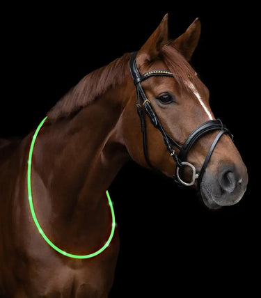 Buy Waldhausen LED Neck Strap | Online for Equine