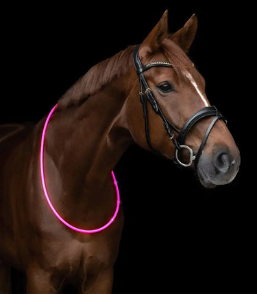 Buy Waldhausen LED Neck Strap | Online for Equine