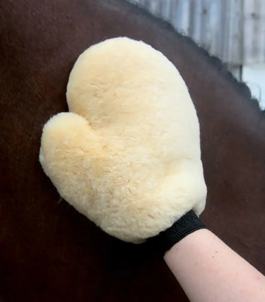 Buy Waldhausen Lambskin Grooming Glove | Online for Equine
