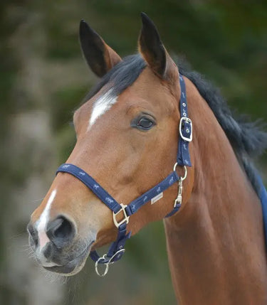 Waldhausen Little Horse Halter| Online For Equine
