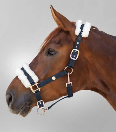 Buy Waldhausen Modern Rose Halter | Online for Equine